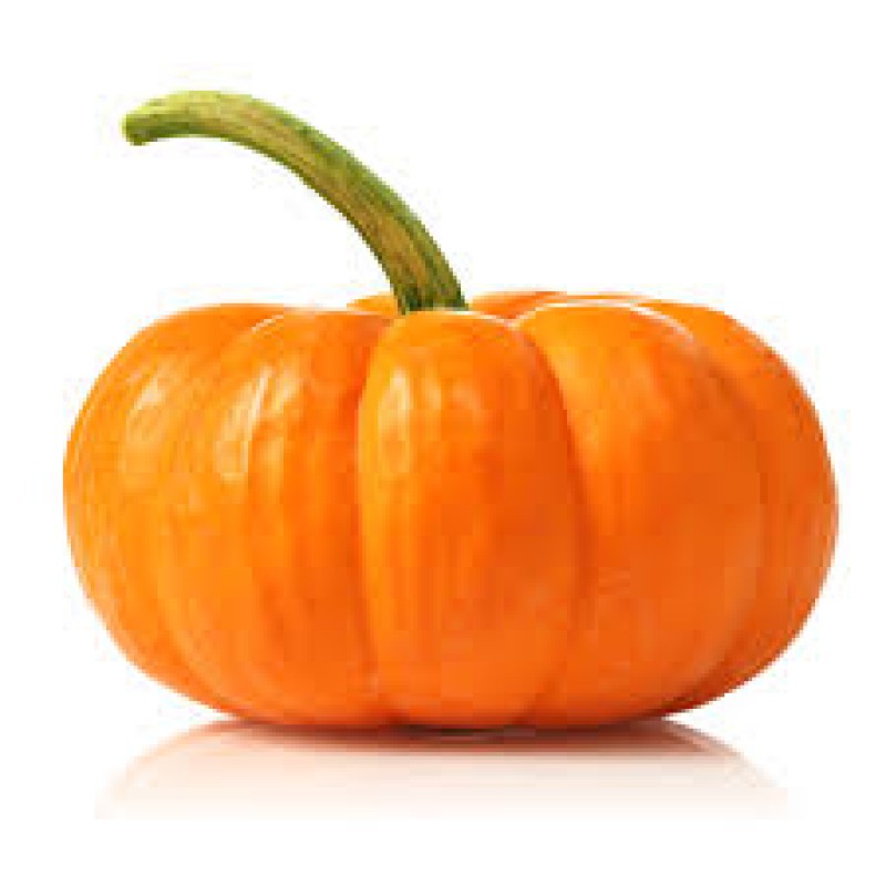 Pumpkin Indian