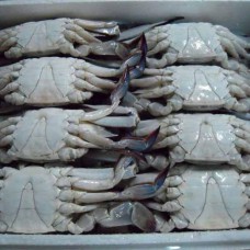 Frozen Crab whole  1 kg