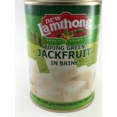 Lamthong Young Green Jackfruit in Brine